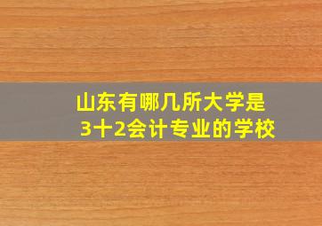 山东有哪几所大学是3十2会计专业的学校