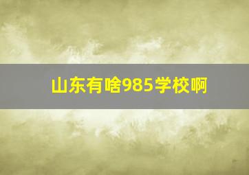 山东有啥985学校啊