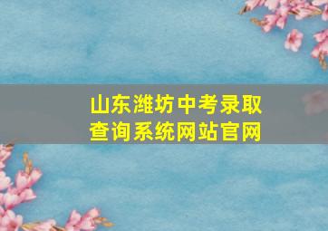 山东潍坊中考录取查询系统网站官网