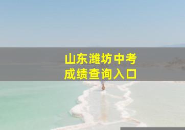 山东潍坊中考成绩查询入口