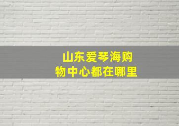 山东爱琴海购物中心都在哪里