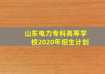 山东电力专科高等学校2020年招生计划