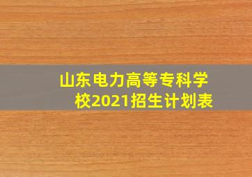 山东电力高等专科学校2021招生计划表