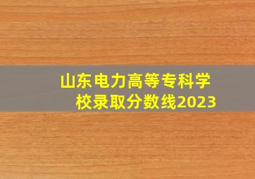 山东电力高等专科学校录取分数线2023