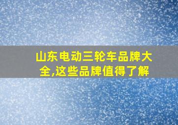 山东电动三轮车品牌大全,这些品牌值得了解