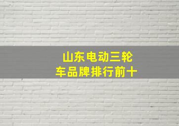 山东电动三轮车品牌排行前十