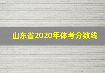 山东省2020年体考分数线