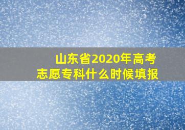 山东省2020年高考志愿专科什么时候填报