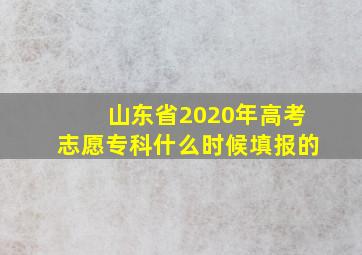 山东省2020年高考志愿专科什么时候填报的