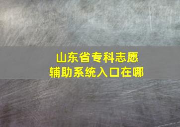 山东省专科志愿辅助系统入口在哪