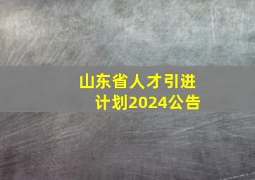 山东省人才引进计划2024公告