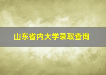 山东省内大学录取查询