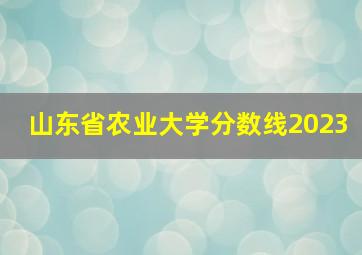 山东省农业大学分数线2023