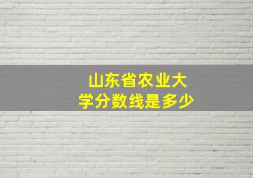 山东省农业大学分数线是多少