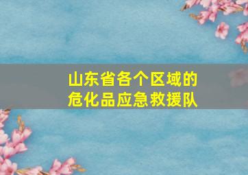 山东省各个区域的危化品应急救援队