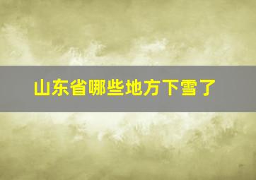 山东省哪些地方下雪了