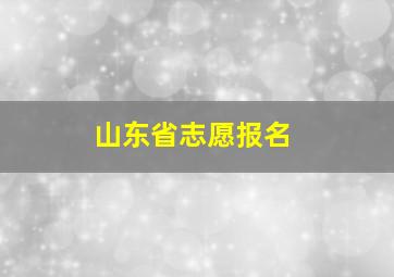 山东省志愿报名