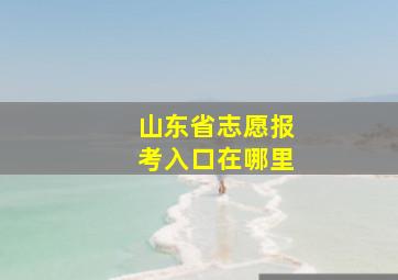 山东省志愿报考入口在哪里