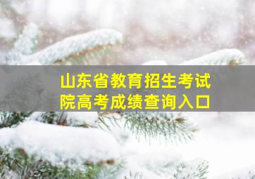 山东省教育招生考试院高考成绩查询入口