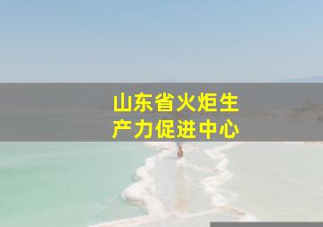 山东省火炬生产力促进中心