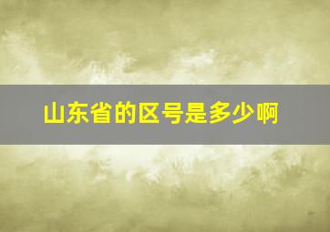 山东省的区号是多少啊