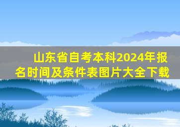 山东省自考本科2024年报名时间及条件表图片大全下载