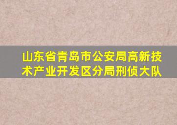 山东省青岛市公安局高新技术产业开发区分局刑侦大队