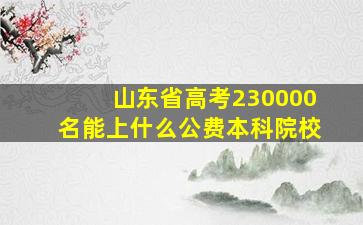 山东省高考230000名能上什么公费本科院校