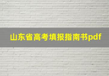 山东省高考填报指南书pdf