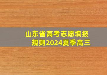 山东省高考志愿填报规则2024夏季高三