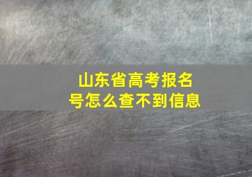 山东省高考报名号怎么查不到信息