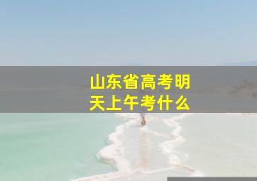 山东省高考明天上午考什么