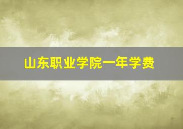 山东职业学院一年学费