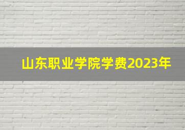 山东职业学院学费2023年