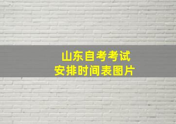 山东自考考试安排时间表图片