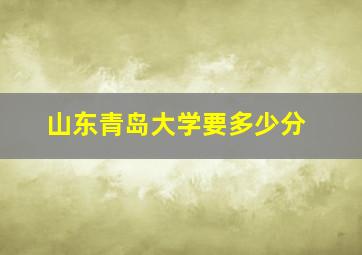 山东青岛大学要多少分