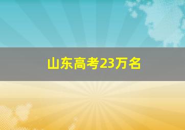 山东高考23万名