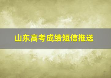 山东高考成绩短信推送