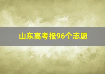 山东高考报96个志愿