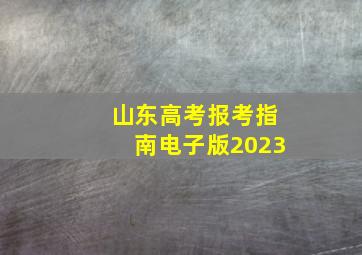 山东高考报考指南电子版2023