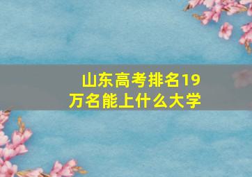 山东高考排名19万名能上什么大学