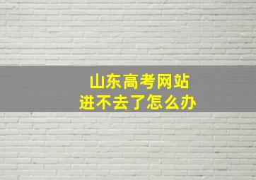 山东高考网站进不去了怎么办