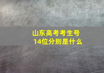 山东高考考生号14位分别是什么