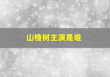 山楂树主演是谁