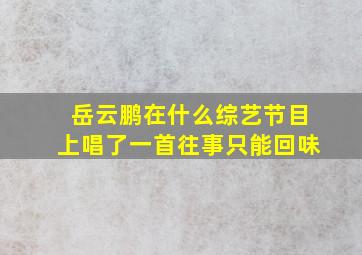 岳云鹏在什么综艺节目上唱了一首往事只能回味