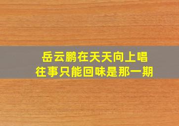 岳云鹏在天天向上唱往事只能回味是那一期