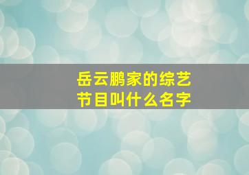 岳云鹏家的综艺节目叫什么名字