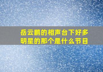 岳云鹏的相声台下好多明星的那个是什么节目