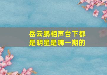 岳云鹏相声台下都是明星是哪一期的