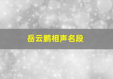 岳云鹏相声名段